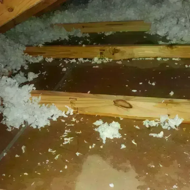 Attic Water Damage in Clinton, MI