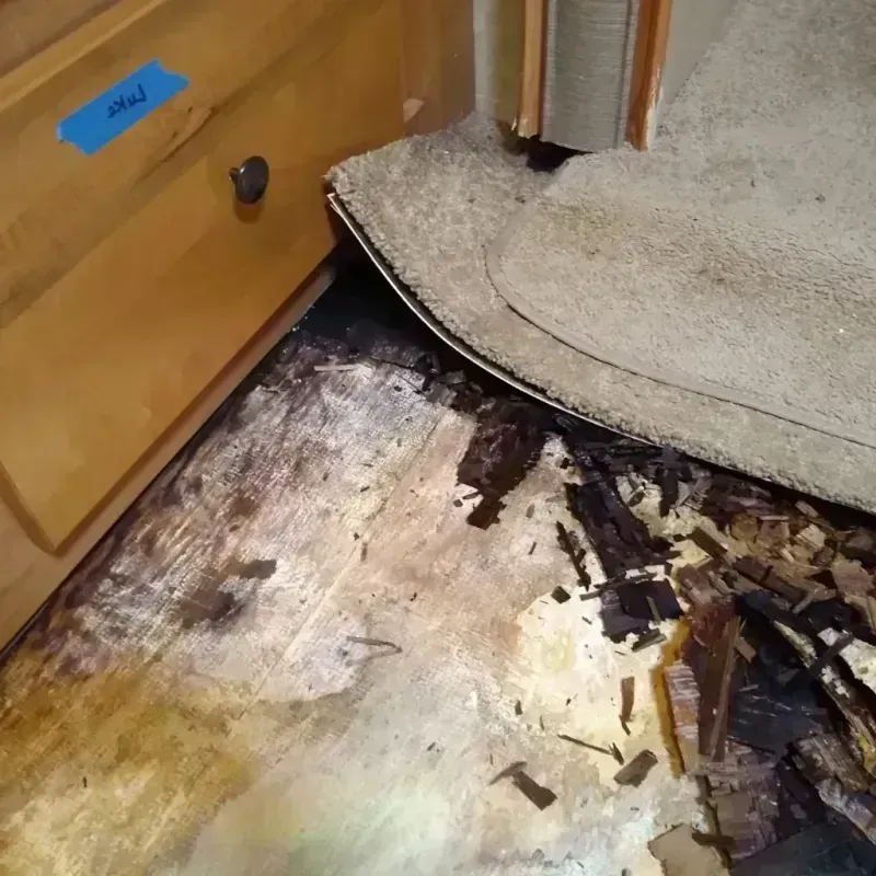 Wood Floor Water Damage in Clinton, MI